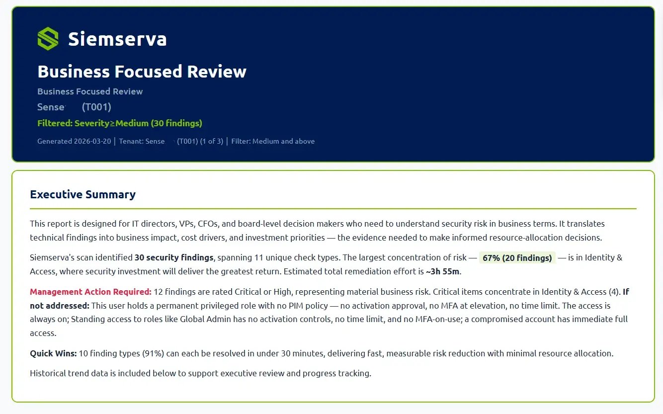 siemserva_b3_help_report_businessreview_execsummary
